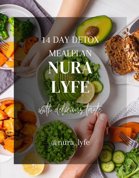 Detox Meal Plan Ebook Download
